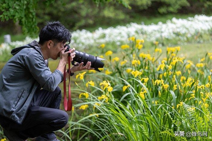 尼康z9与z72的区别,尼康z9z8区别大吗