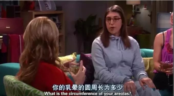 生活大爆炸电梯爆炸是哪一集,生活大爆炸12季以后还有吗