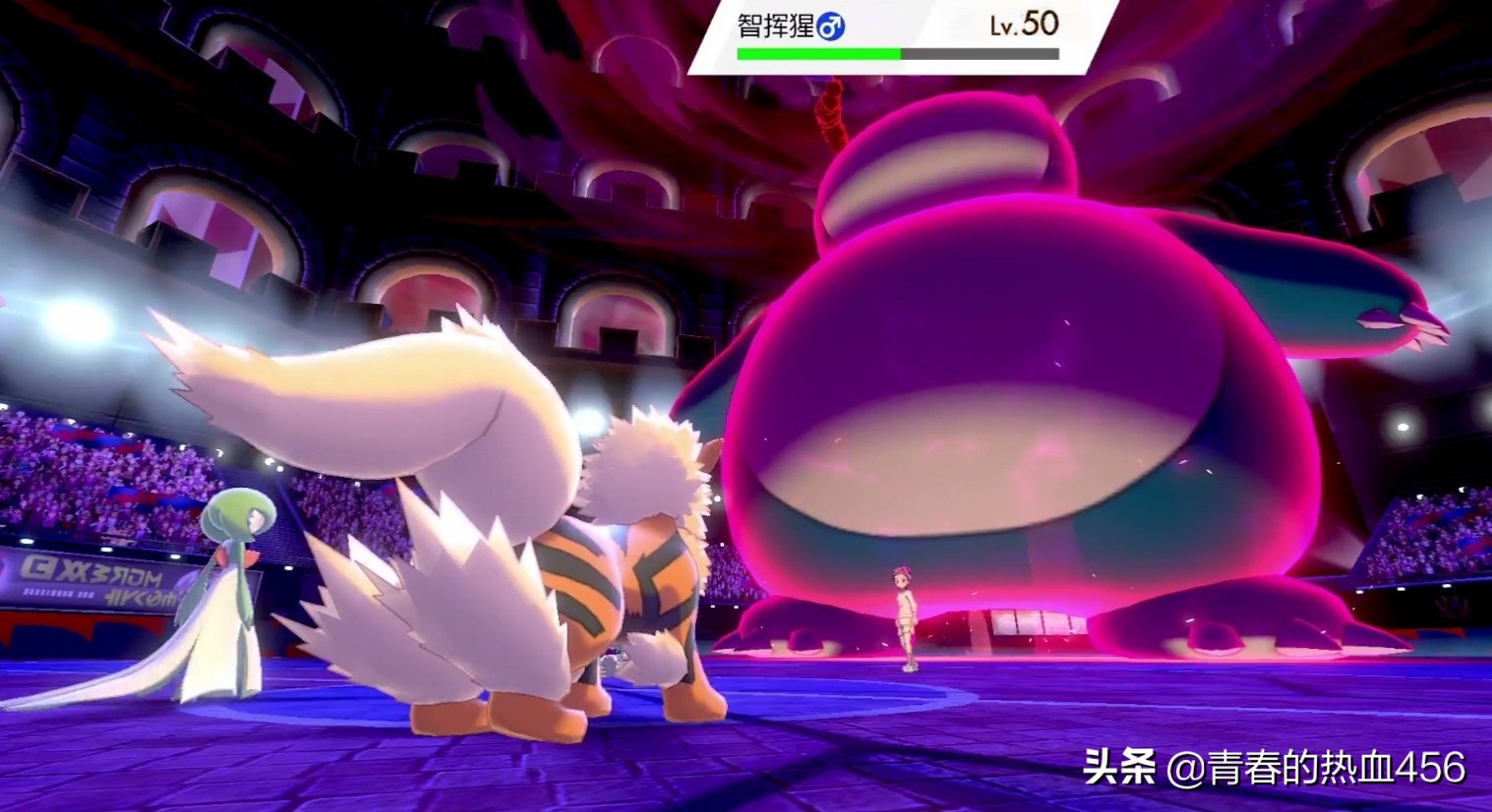 口袋妖怪剑盾风速狗,口袋妖怪剑盾雪原抓什么宝可梦好