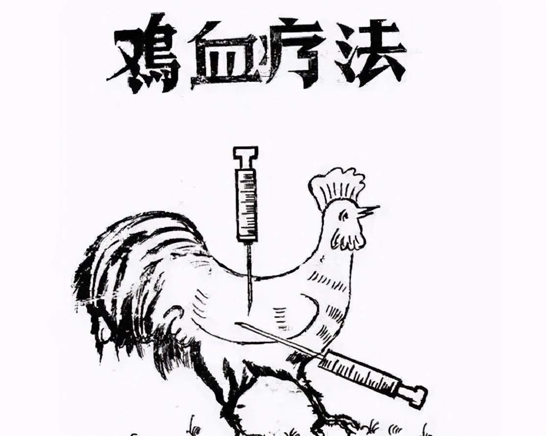 闵行鸡血学校,上海最鸡血的国际学校