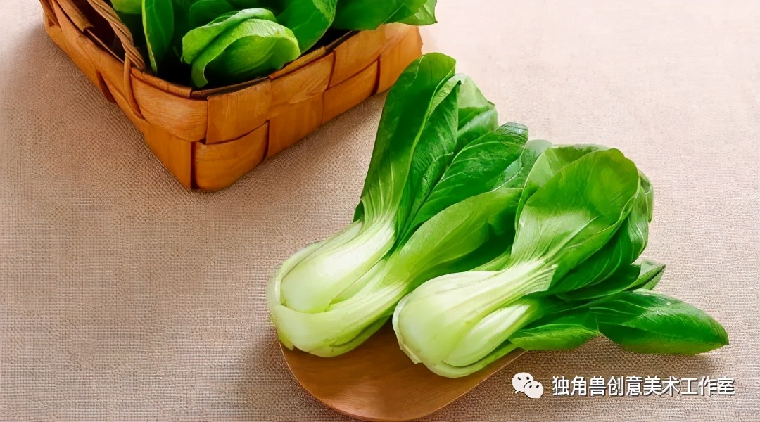 绿油油青菜绘画,蔬菜的绘画教程