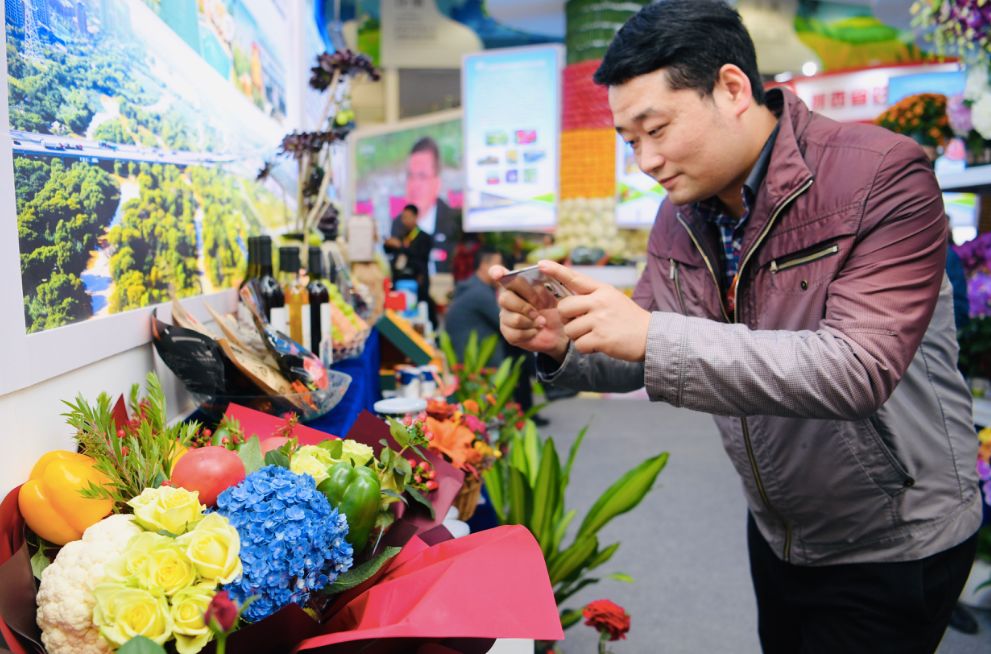 农高会展区展会亮点,今年杨凌农高会的亮点