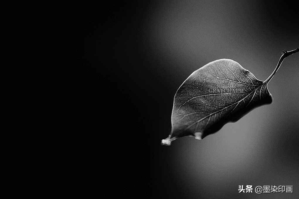 极简黑白摄影的魅力,黑白摄影怎么拍才好看