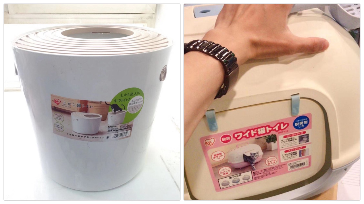 黑色猫配什么样的猫好看,猫选什么样的厕所