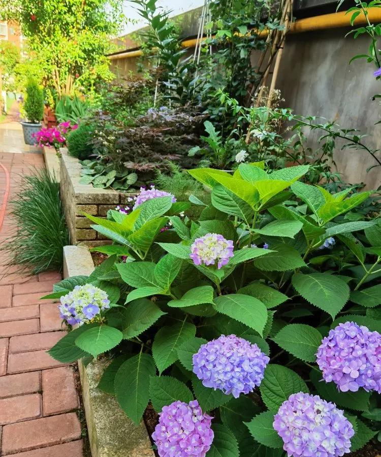 第七届园丁奖,第六届园丁奖奖励