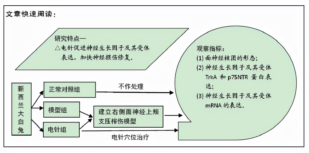 电针对于神经受损有帮助吗,电针疗法对神经损伤有用吗