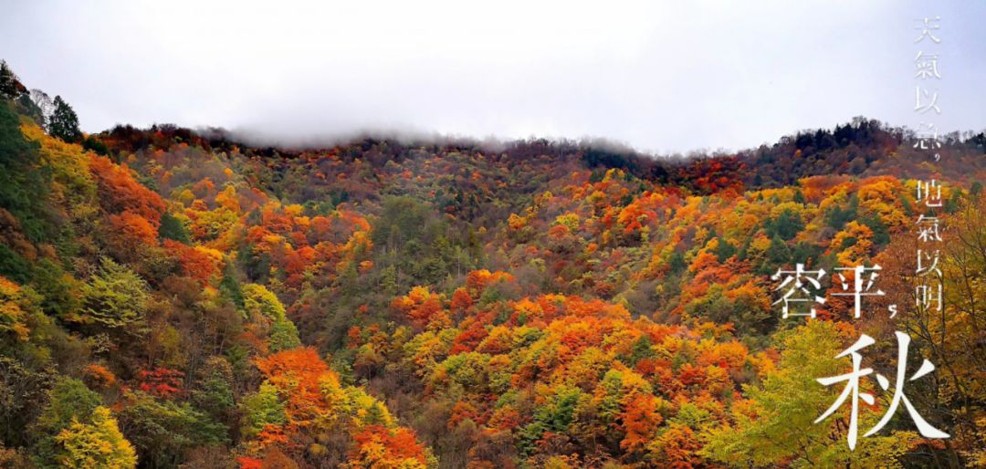 绉嬪ぉ鏉ヤ簡鎴戝湪绛変綘鏈楄,绉嬪ぉ鏉ヤ簡鎴戝湪鍐ぉ绛変綘