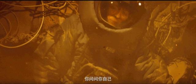 12月观影指南,观影攻略请收好