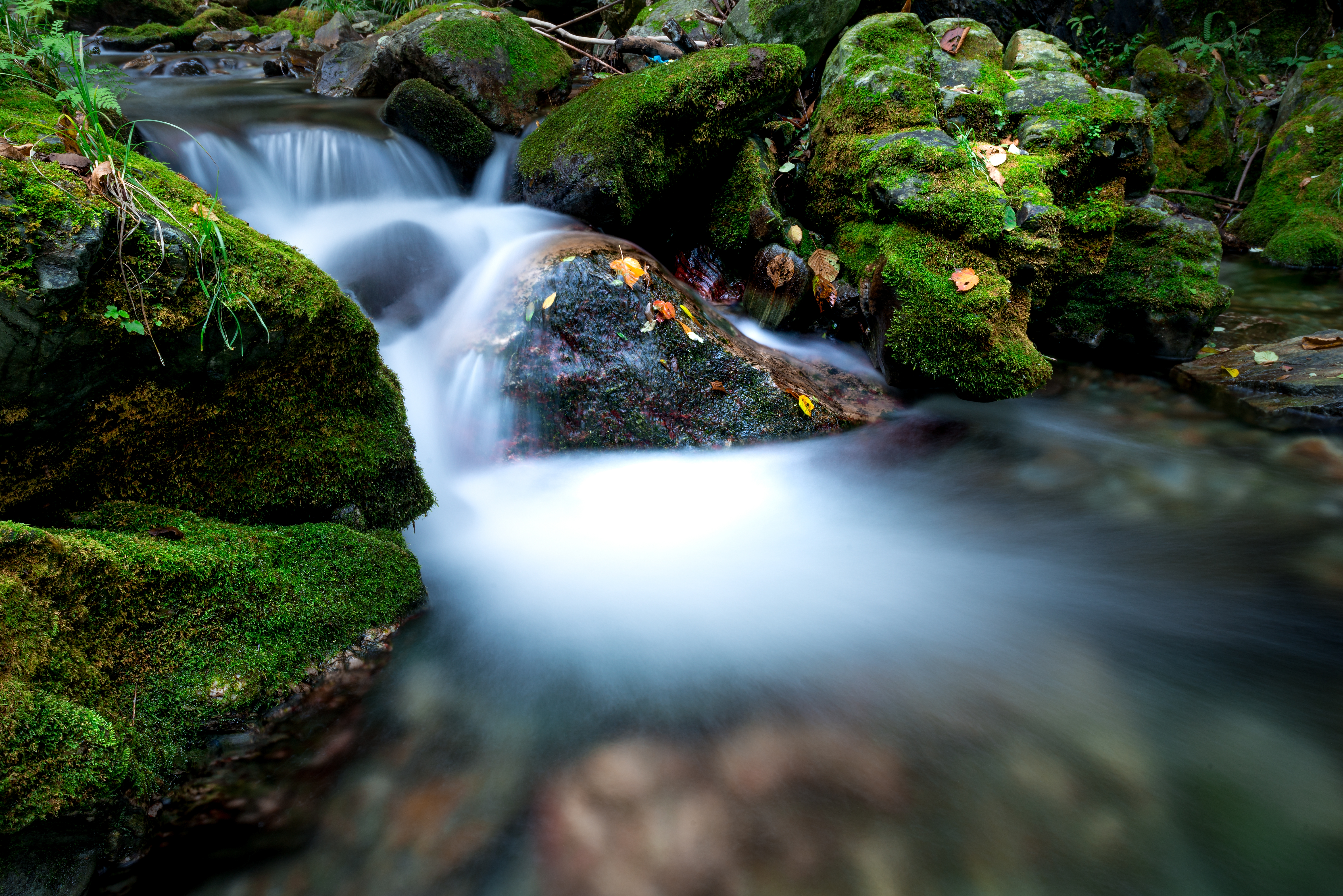 大暑将至你有什么避暑良方呢,大暑是一年四季中最热的地方