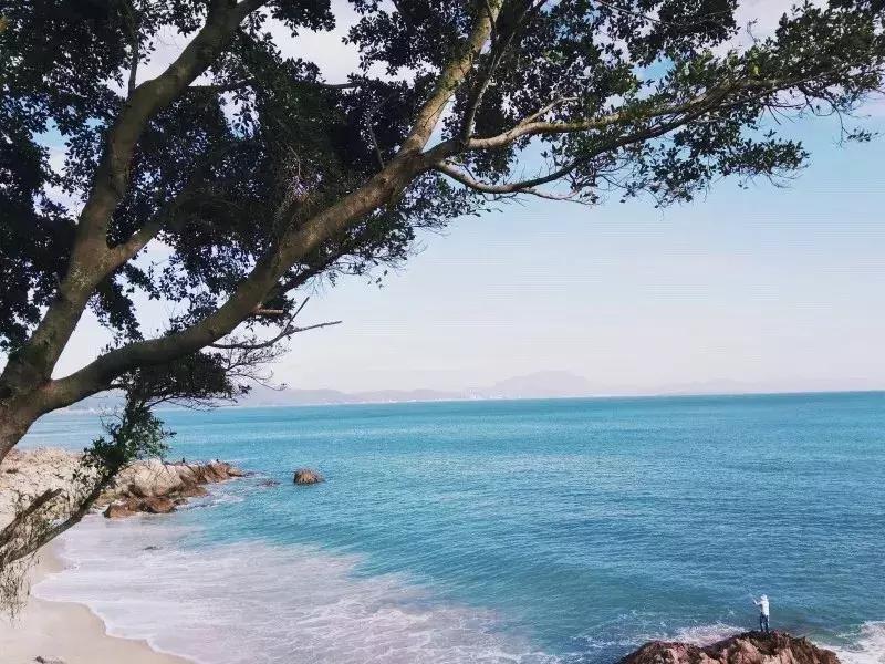 深圳歧视链：凭什么关内瞧不起关外？罗湖又看不上南山？