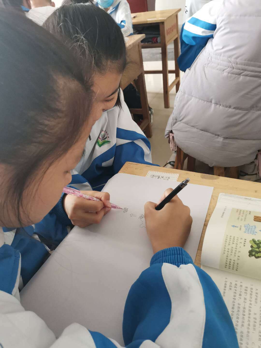 生物绘图大赛图片大全,地理生物绘图比赛