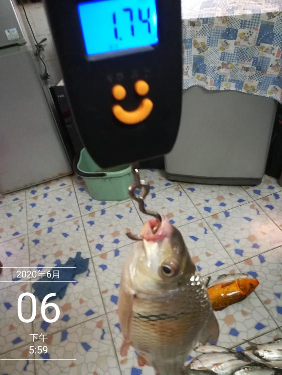 本汀太极黑棍7.2,本汀太极黑棍测试