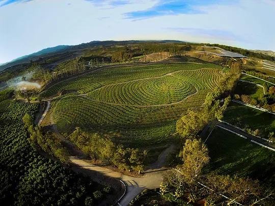 不用农药，让超1000种动植物生态平衡，这次美国人真的做到了
