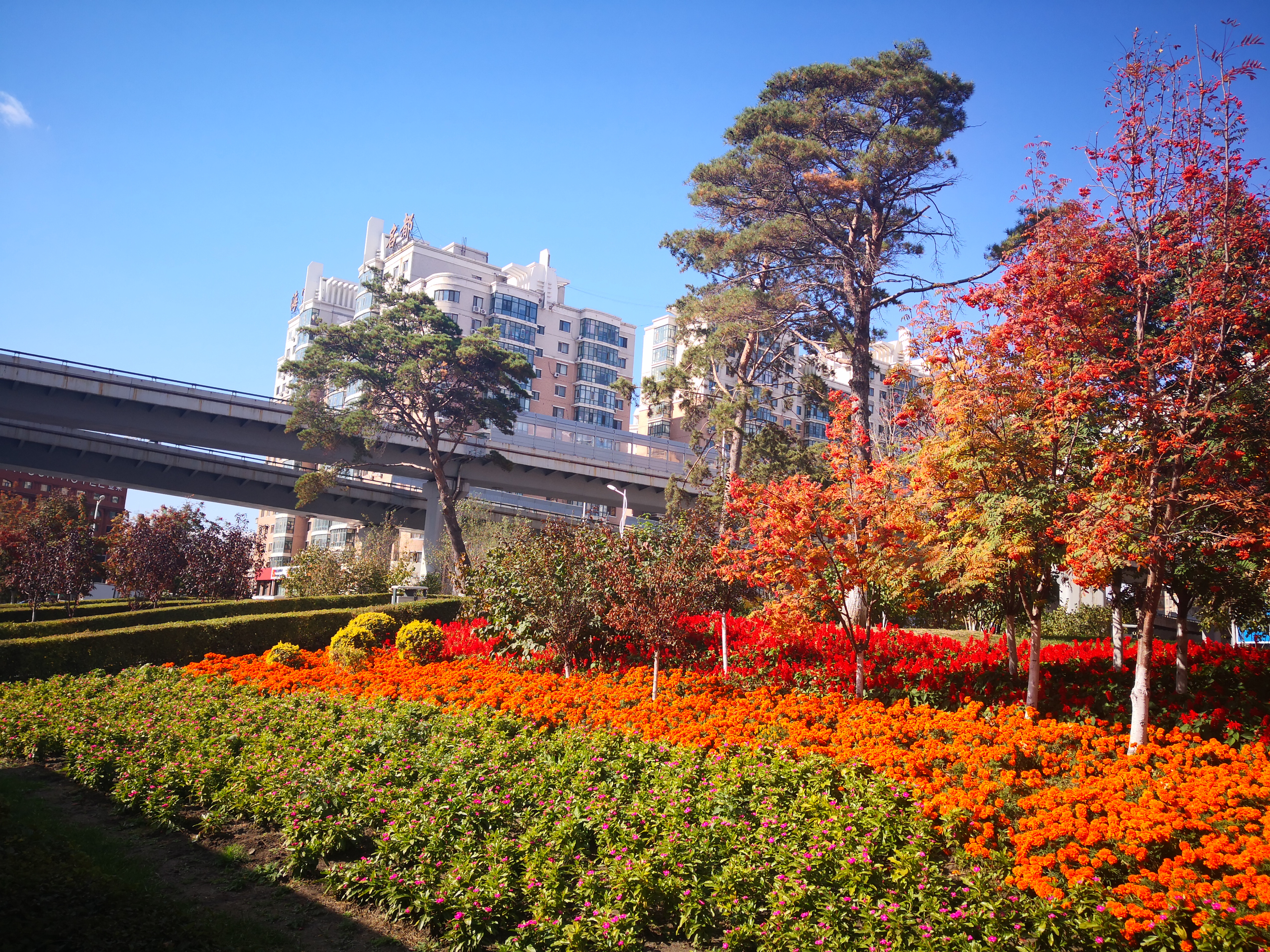 信守承诺和言出必行的重要性,信守承诺抖音