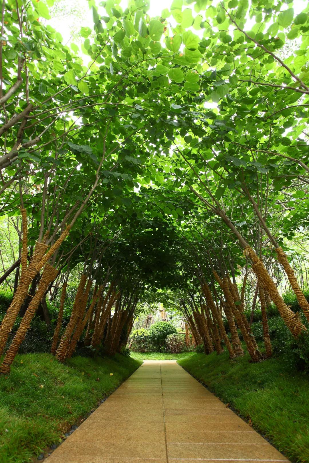 开封永威楼盘,永威哪个楼盘值得期待