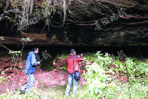 贵州再次发现恐龙足迹背后的故事,古道探寻恐龙足迹