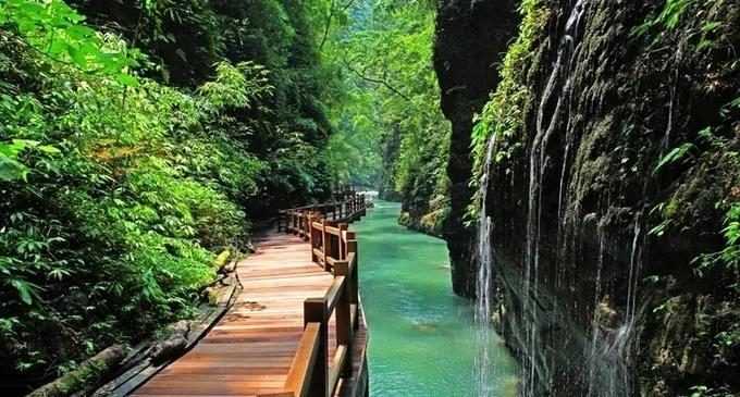 重庆避暑的好地方推荐一下,重庆本地人避暑去哪玩