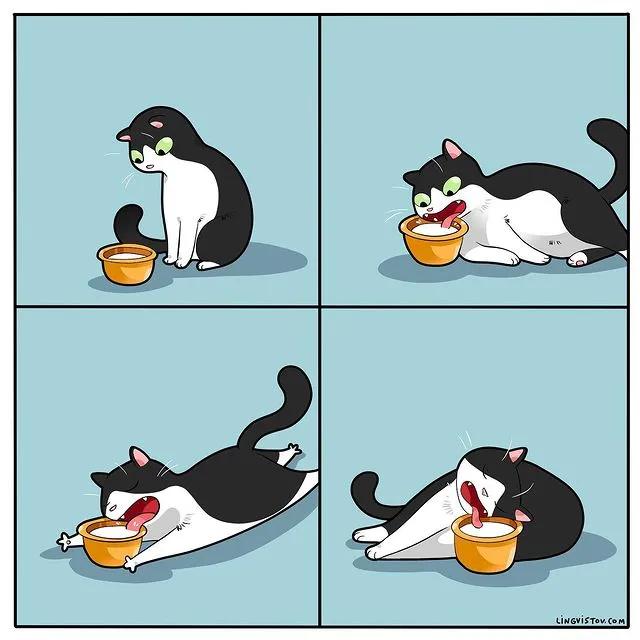 沙雕猫片，笑到床塌！自从做了卑微的铲屎官，比一个人时刺激多了