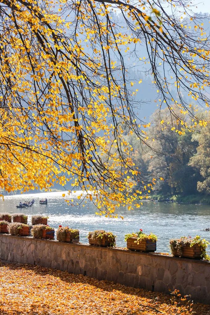 波兰记游记,游记波兰