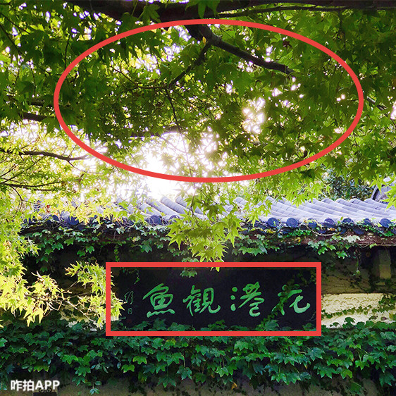 杭州景点拍照攻略路线推荐,杭州西湖怎么拍好看的风景照