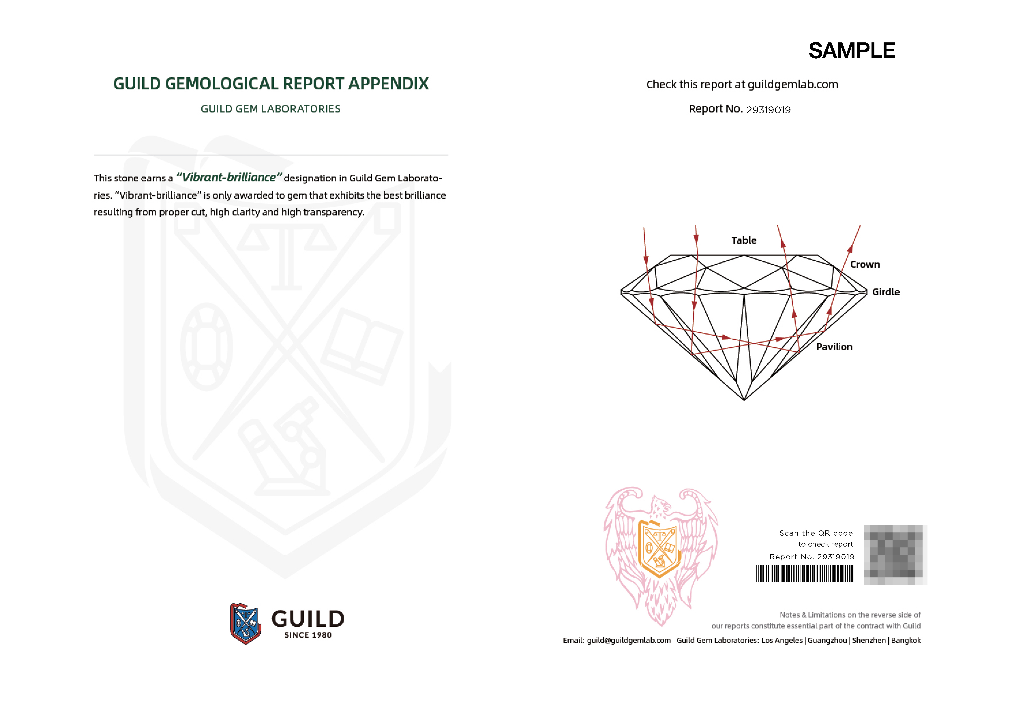 市场报告：小坦桑大机遇！一场悄悄来临的蓝色风暴