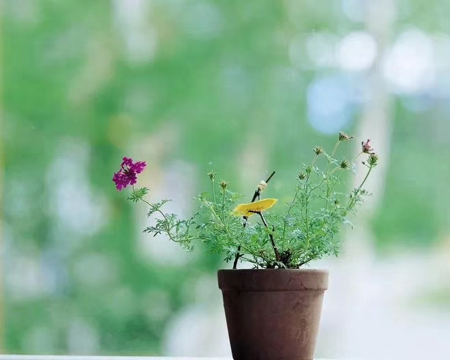 人品与做人德行,做事看人品做人看德行