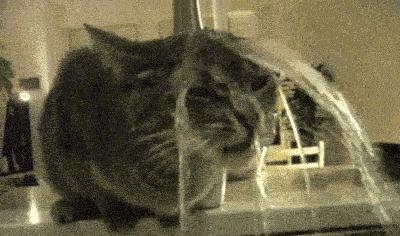 泰国护肤品推荐中国品牌,泰国的护肤品效果真的这么好吗