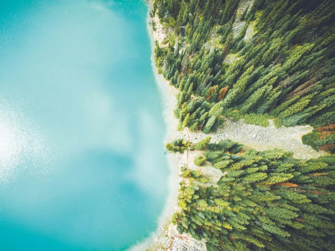 瑞典伊莱克斯是杂牌还是品牌,瑞典伊莱克斯净水器多少钱