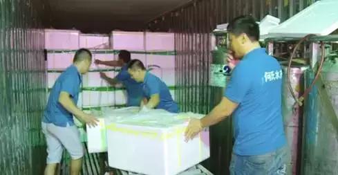 长途运输的鱼怎么入缸,活鱼在长途运输中该如何做