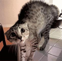 得了系统性红斑狼疮男朋友说分手,男生长了鸡皮肤