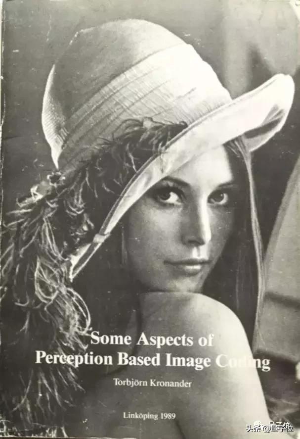 《花花公子》的封面女郎，计算机图像界的女神