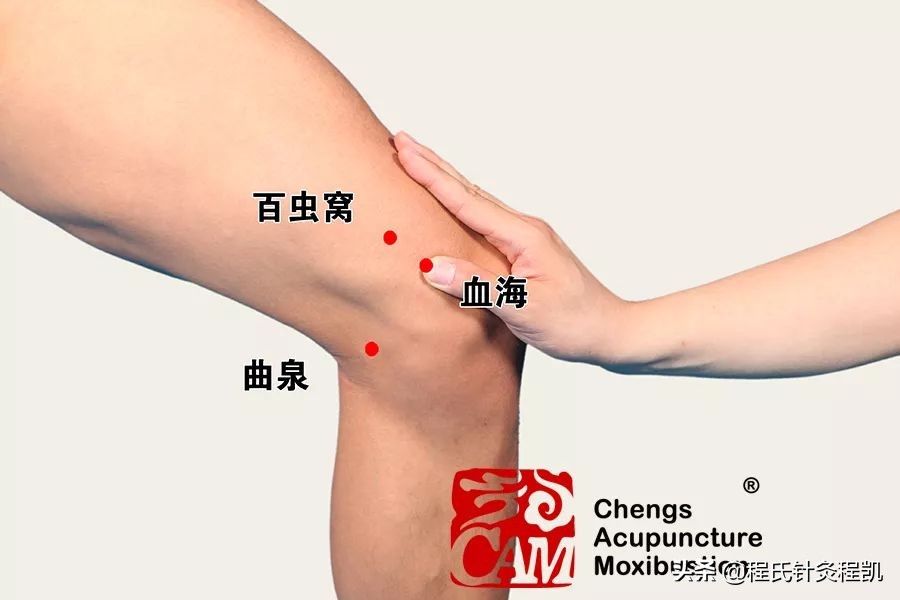 中医脾胃湿热怎么调理,中医脾胃湿热用西医怎么治