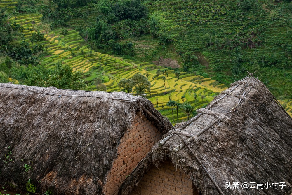 红河州最美哈尼族村寨,红河哈尼族千年梯田