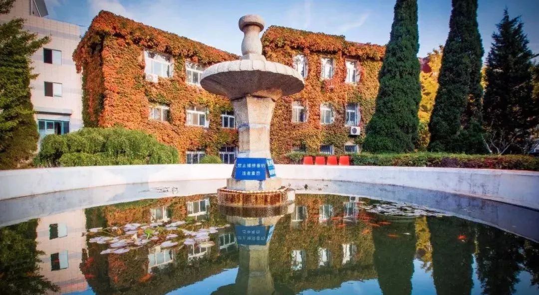 大连理工大学毕业就业率,大连理工大学毕业能挣多少