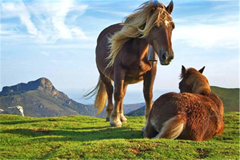 日久见人心的五句俗语,俗话说得好日久见人心