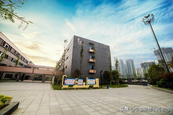 成都市实验外国语学校2021高考,成都市实验外国语学校温江校区