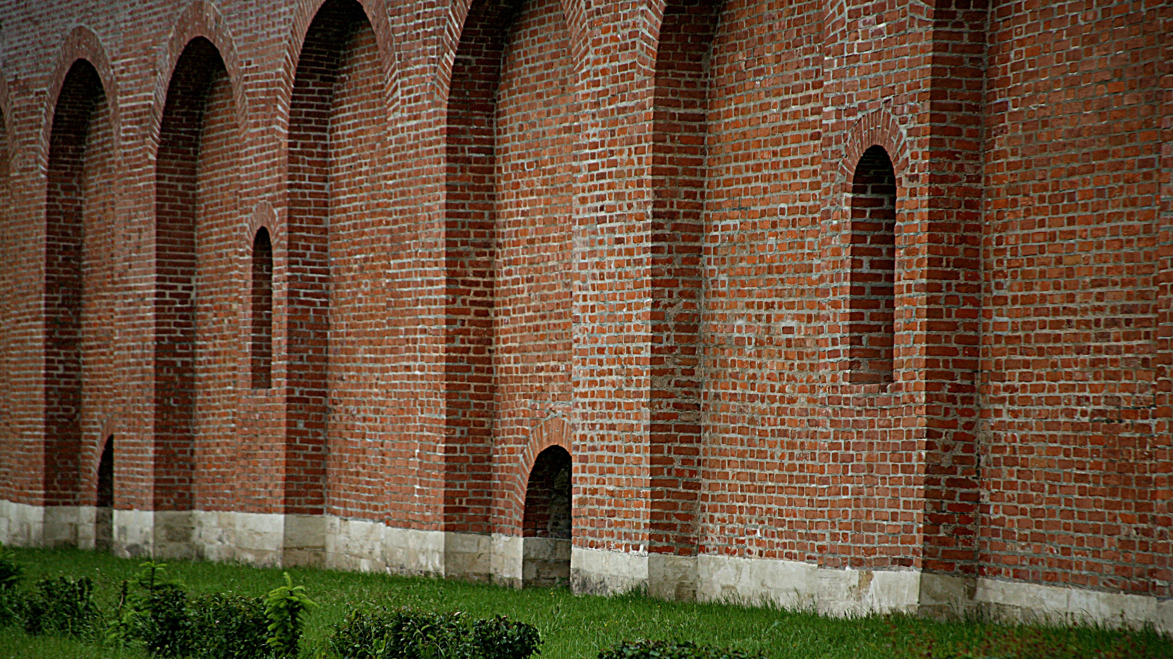 4k动物正脸壁纸高清版霸气,苹果12壁纸超清4k全屏动物