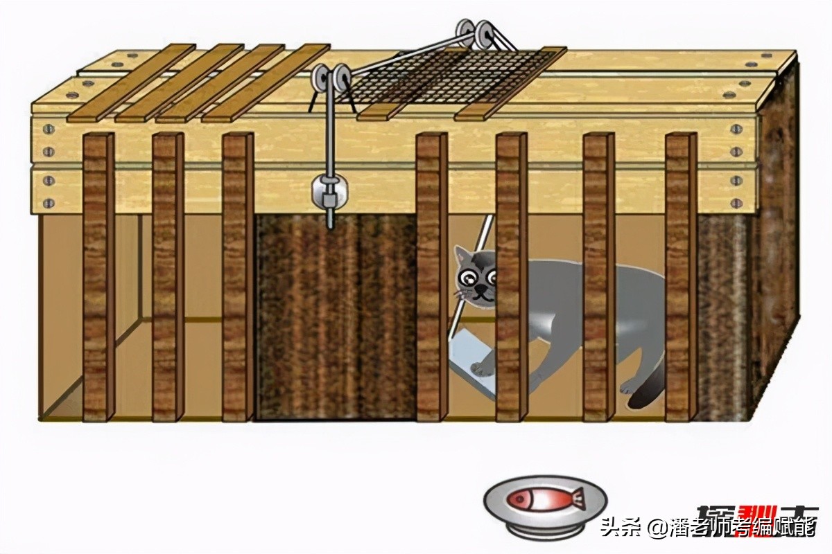 教招考试中常考的实验有哪些？