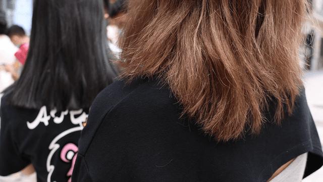 济南芝士厚乳茶,三里屯芝士厚乳茶