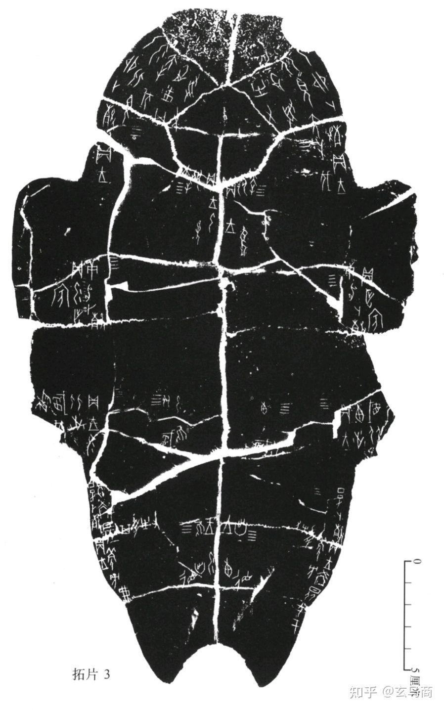 甲骨卜辞的意思,甲骨卜辞的内容