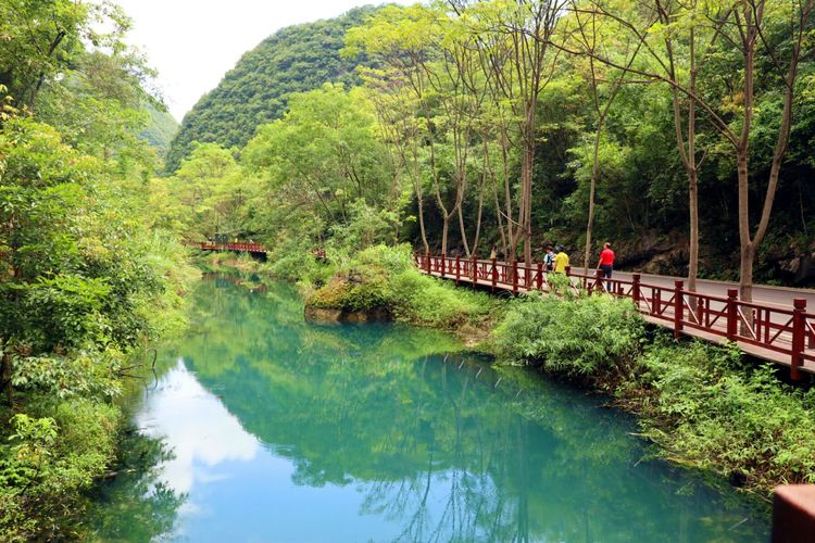 地球上的绿腰带贵州荔波小七孔,世界的绿宝石荔波