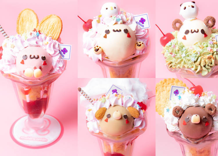 萌？治愈？宅男天堂？快来看看日本的女仆咖啡厅都提供哪些服务