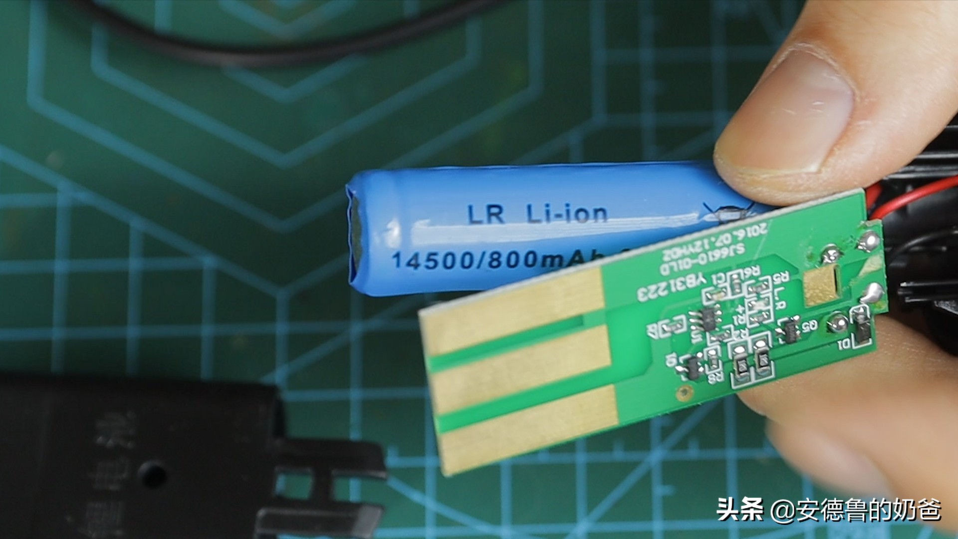 春日vlog完整版,春日vlog竖版