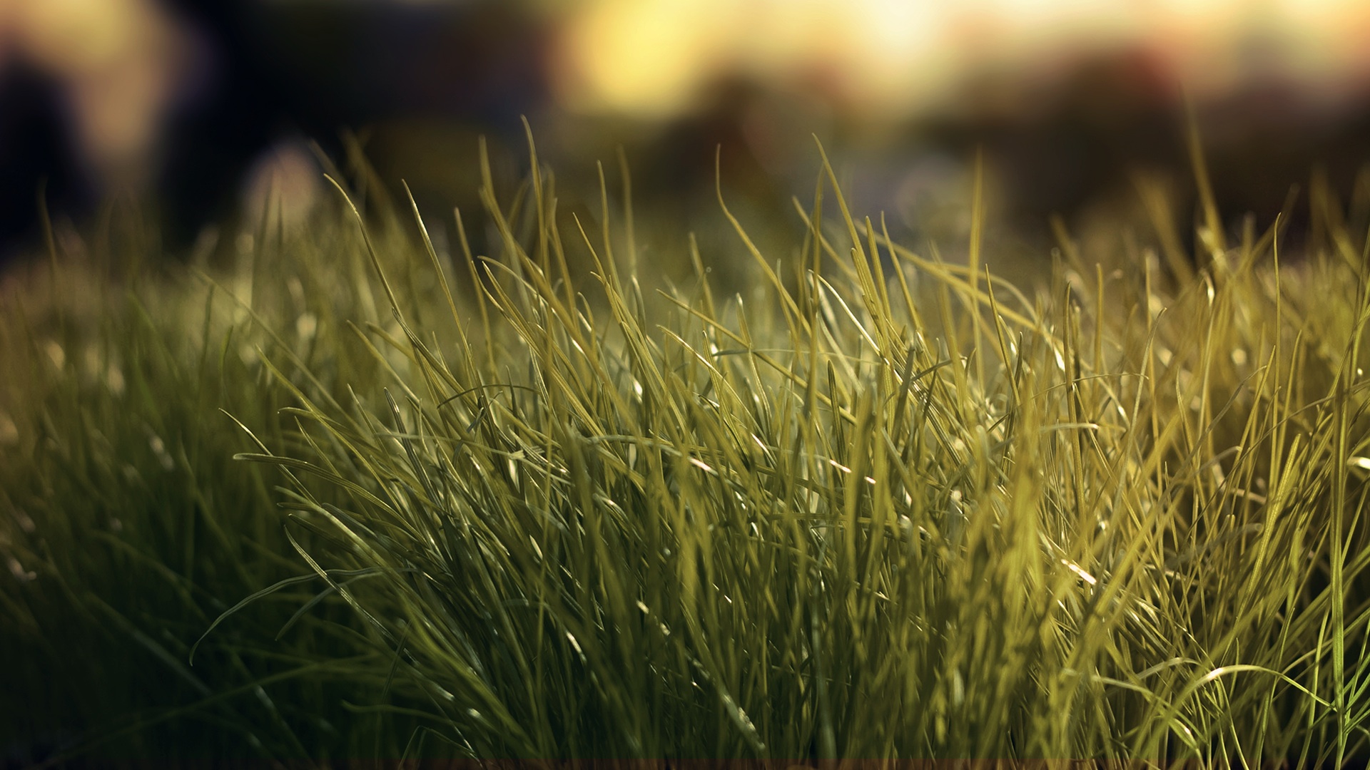 人遇到大难时该怎样度过,人遇到大难的前兆