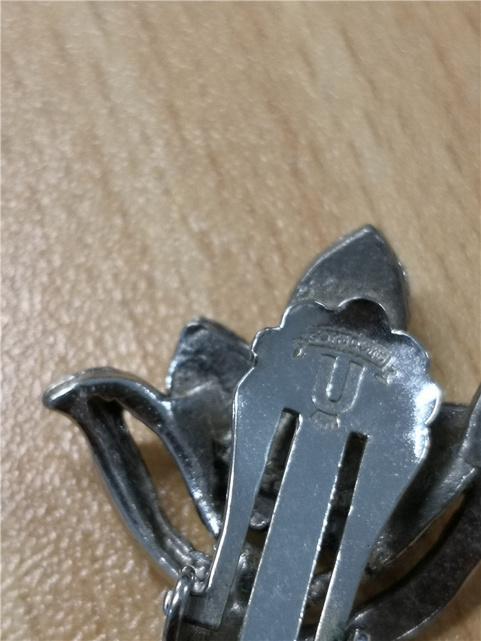 在新西兰免费捡果子,在新西兰捡鲍鱼