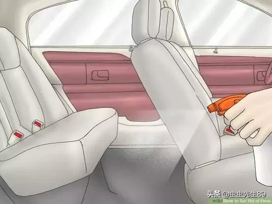 你的车里有“吸血鬼”吗