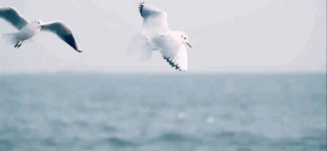 浙江海边美景,浙江渔村的美景