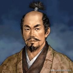 日本100大城堡,日本百大城堡复原图