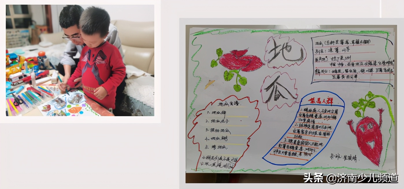 幼儿园红薯生成课活动方案,幼儿园科学教案红薯的成长过程