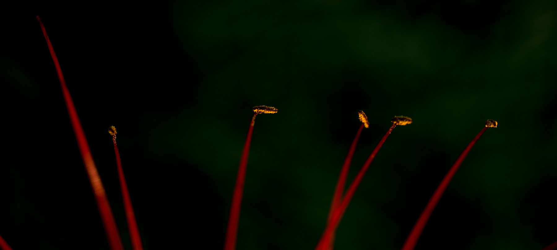 关于二手（这是个沉重而有趣的话题）